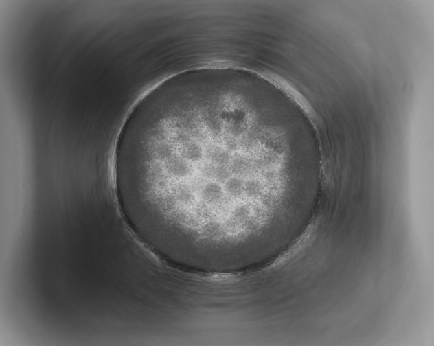 X0000101710839200807311450