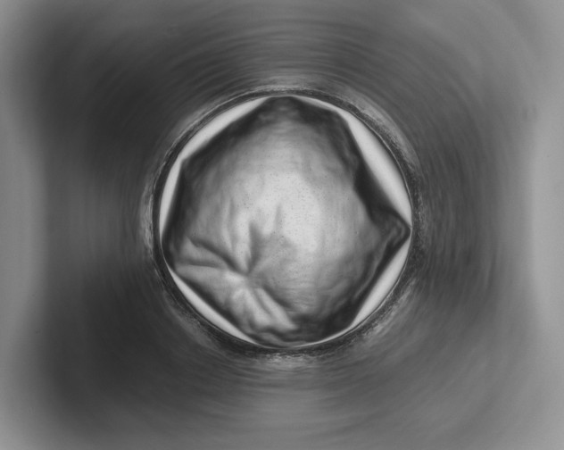 X0000101710842200807311450