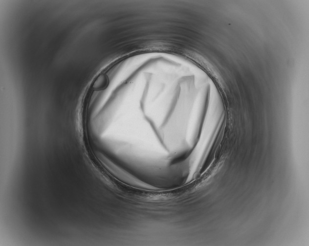 X0000101710843200807311450