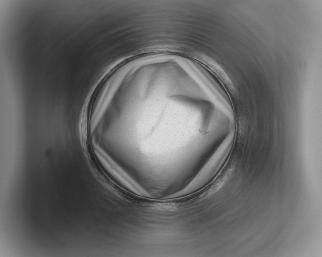 X0000101710844200807311450