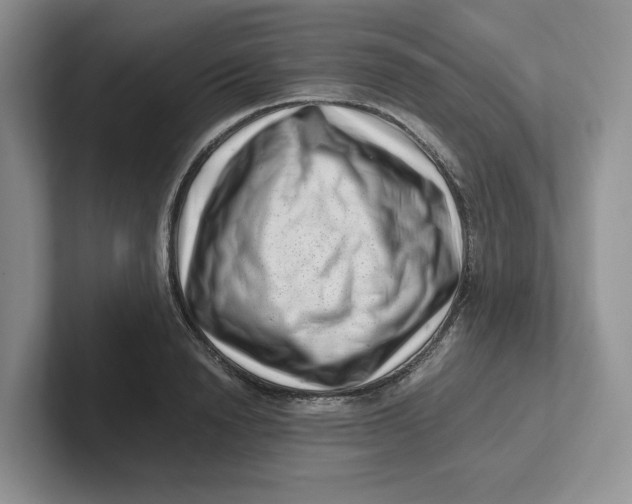 X0000101710846200807311450