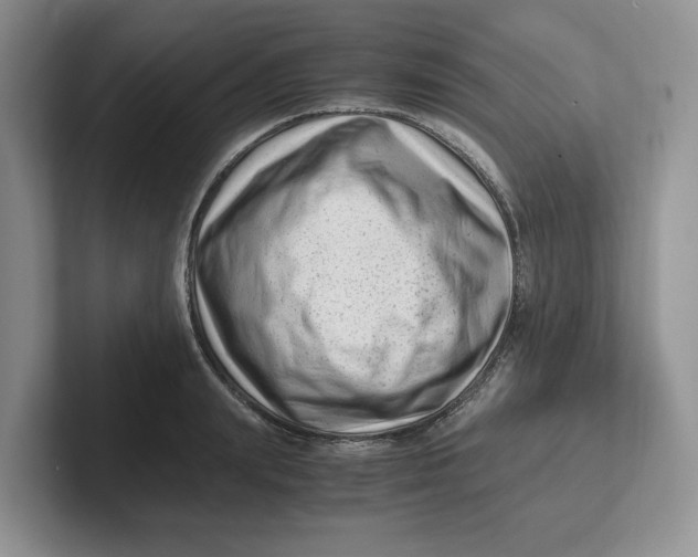 X0000101710847200807311450