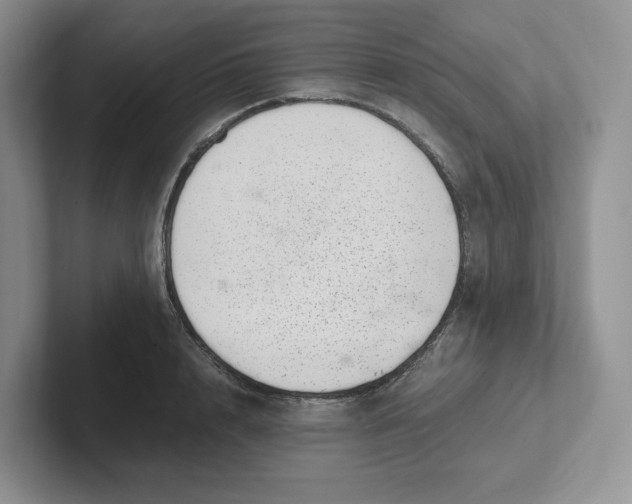 X0000101710848200807311450