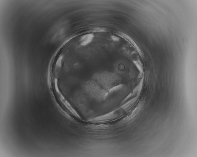 X0000101710851200807311450