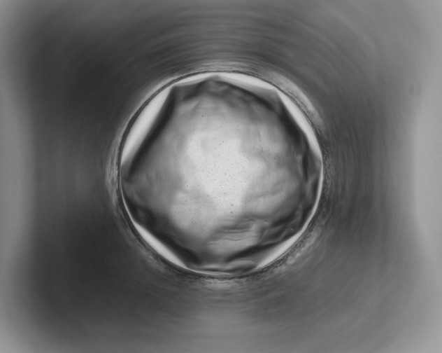 X0000101710852200807311450