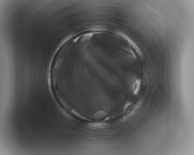 X0000101710853200807311450