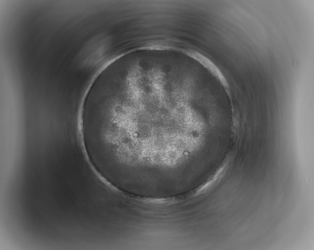 X0000101710855200807311450