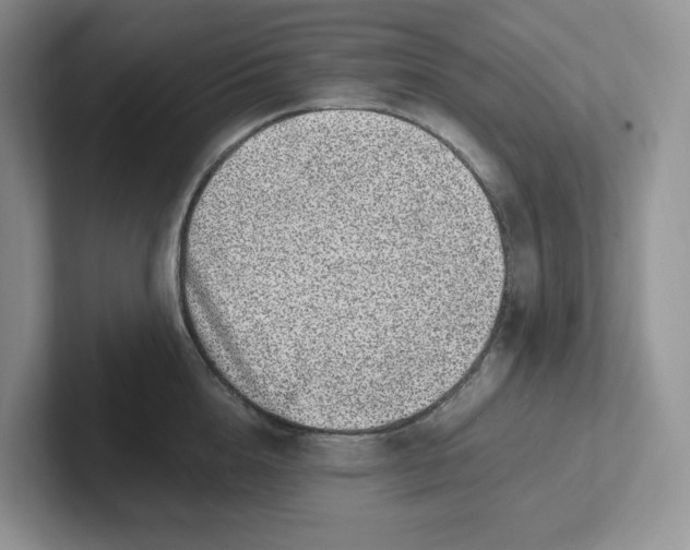 X0000101710856200807311450