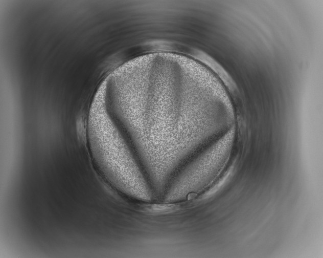 X0000101710857200807311450