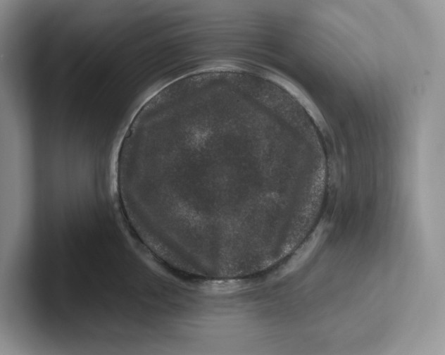 X0000101710858200807311450