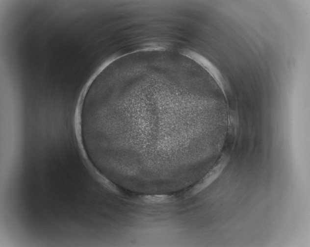 X0000101710859200807311450