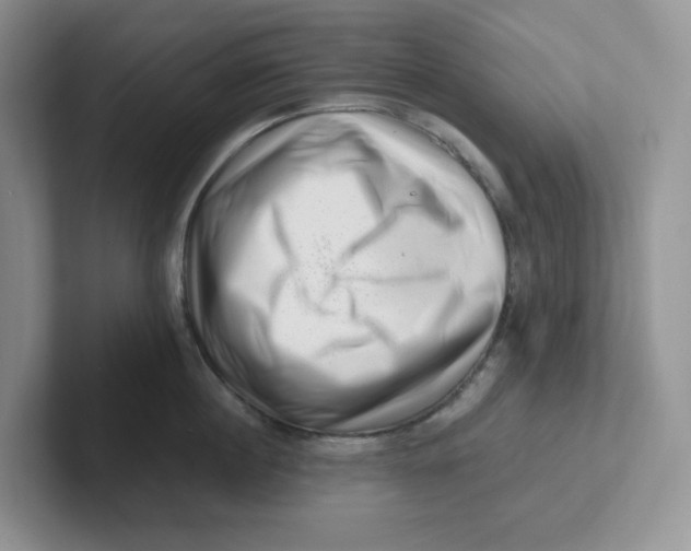 X0000101710860200807311450