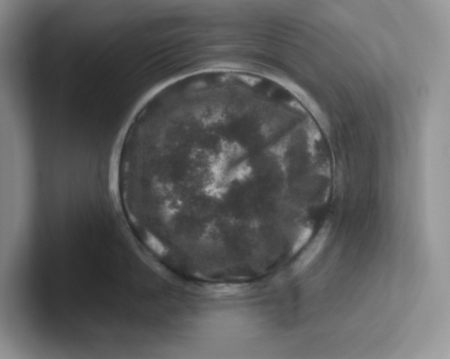 X0000101710862200807311450