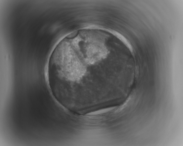 X0000101710863200807311450