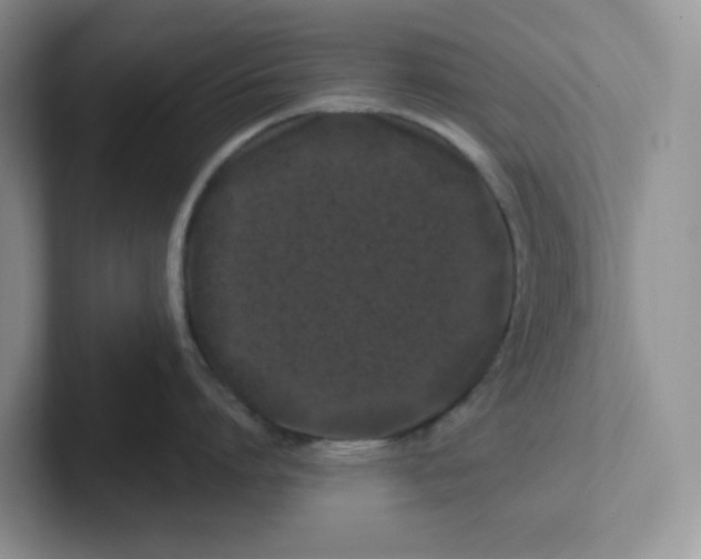 X0000101710864200807311450