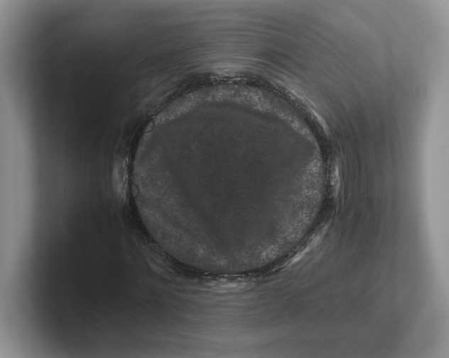 X0000101710868200807311450