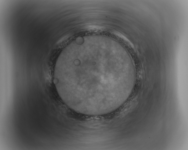 X0000101710869200807311450