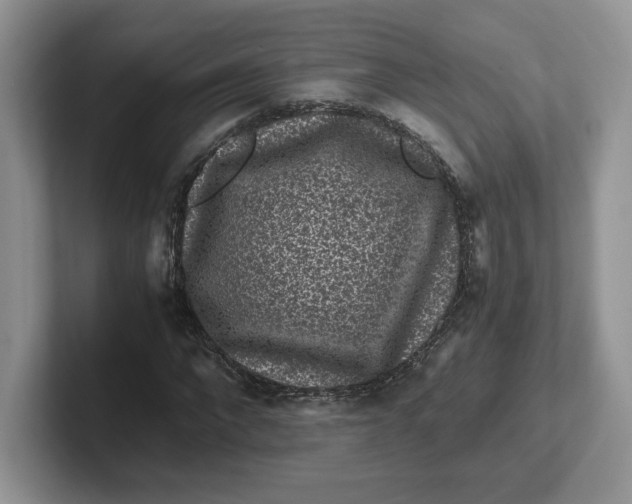 X0000101710872200807311450