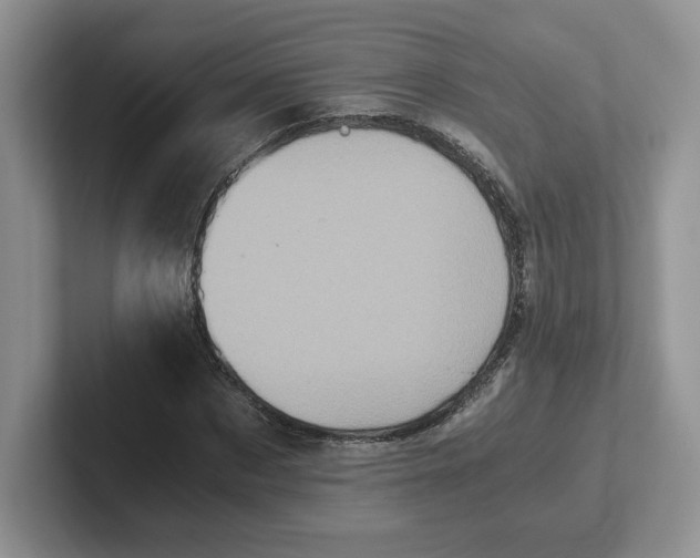 X0000101710873200807311450