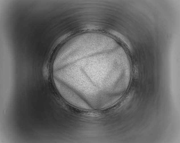 X0000101710874200807311450