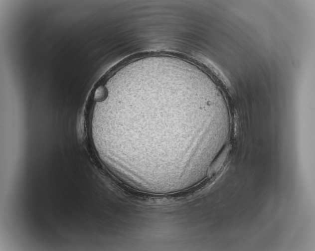 X0000101710876200807311450