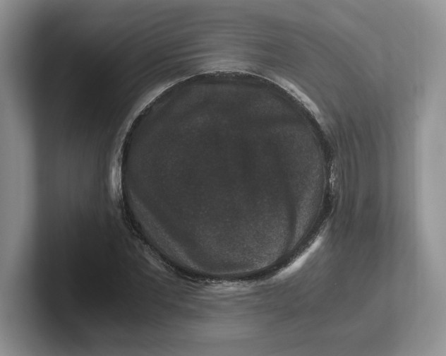 X0000101710877200807311450