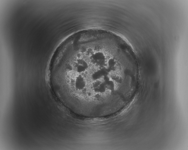 X0000101710879200807311450