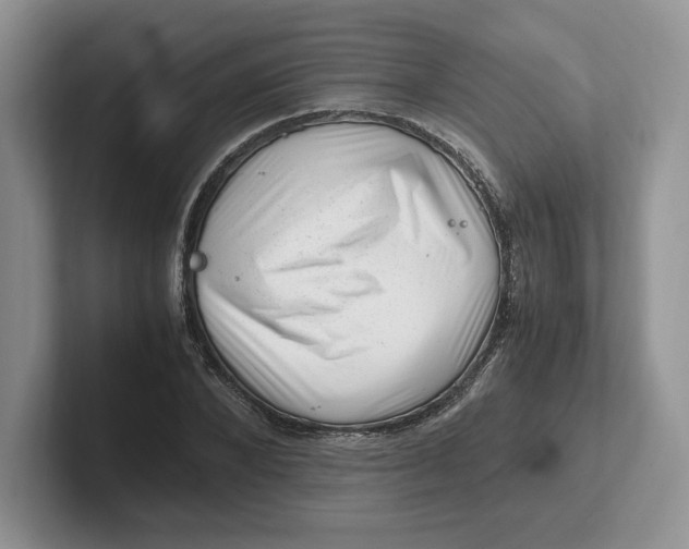 X0000101710880200807311450