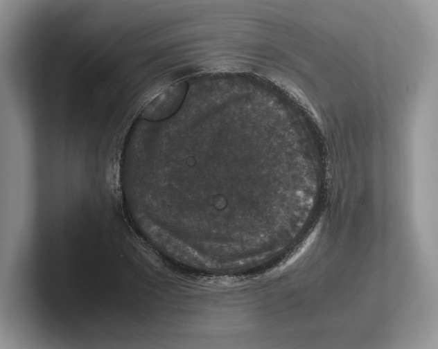 X0000101710881200807311450