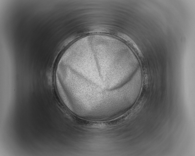 X0000101710882200807311450