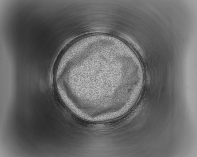 X0000101710883200807311450