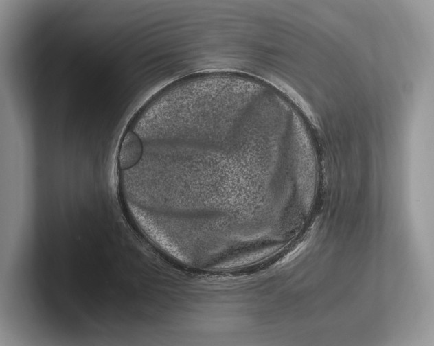 X0000101710885200807311449