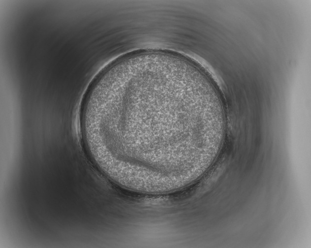 X0000101710887200807311449