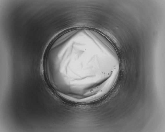 X0000101710888200807311449