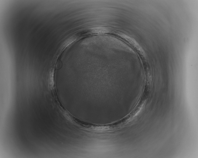 X0000101710889200807311449