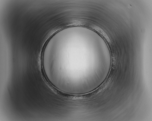 X0000101710890200807311449