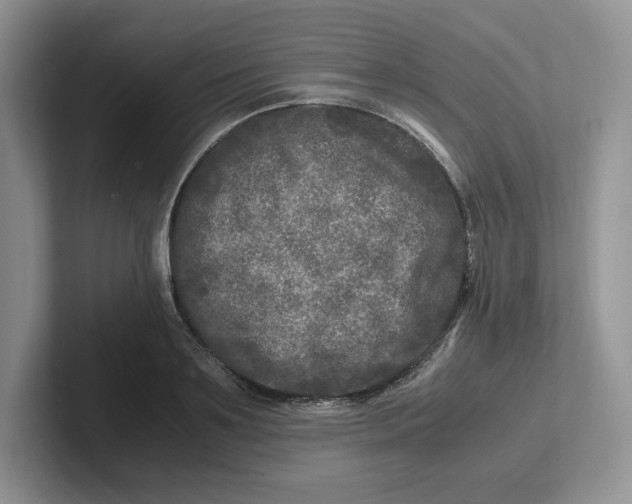 X0000101710891200807311449