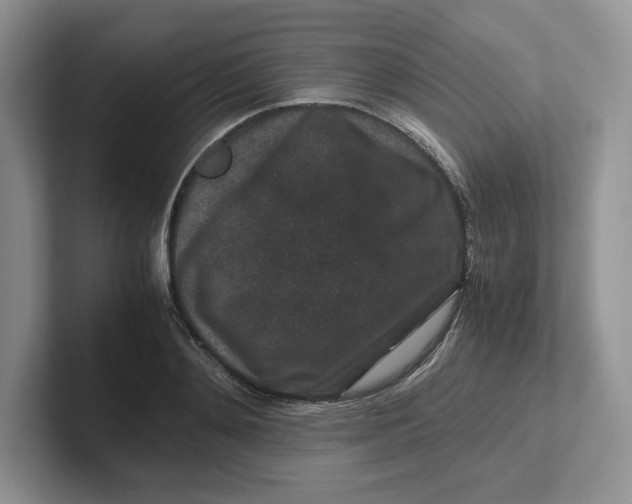 X0000101710892200807311449