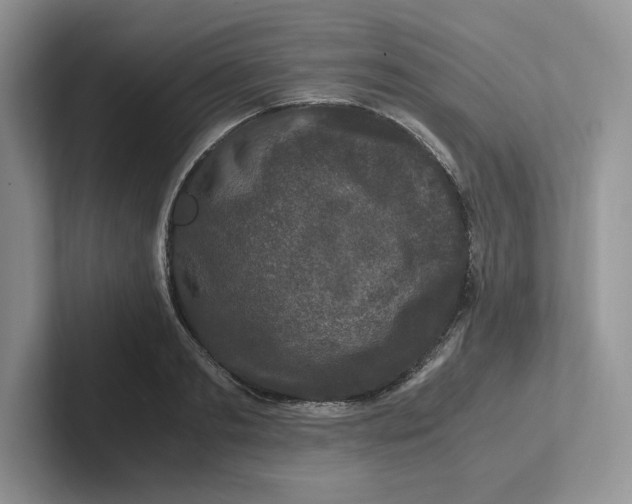 X0000101710893200807311449