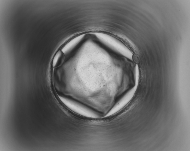 X0000101710894200807311449