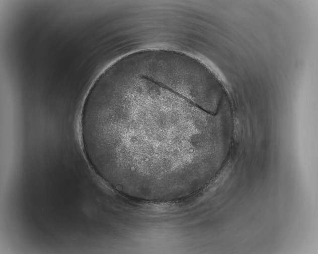 X0000101710895200807311449