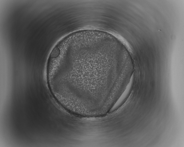 X0000101710896200807311449