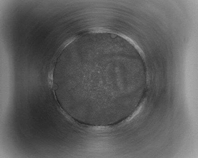 X0000101710897200807311449