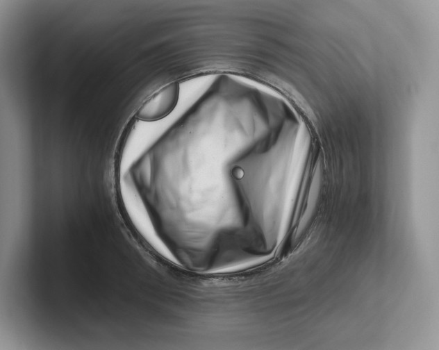 X0000101710898200807311449