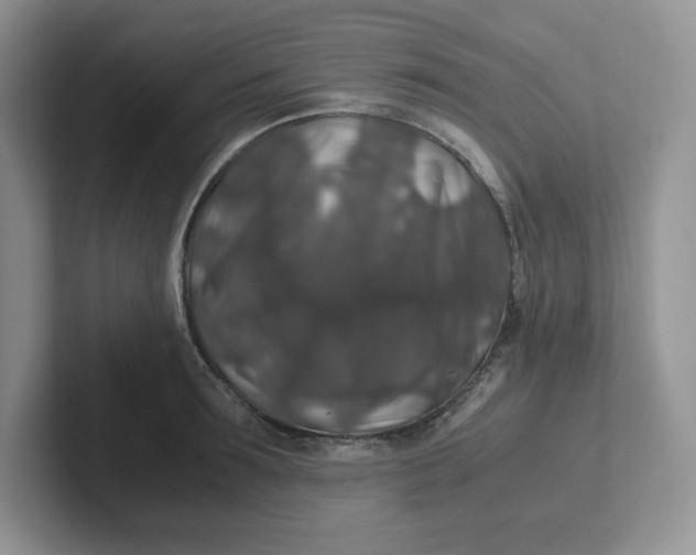 X0000101710899200807311449