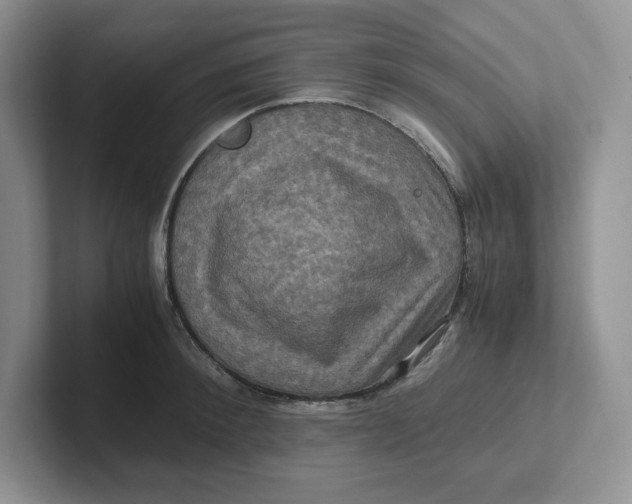 X0000101710900200807311449