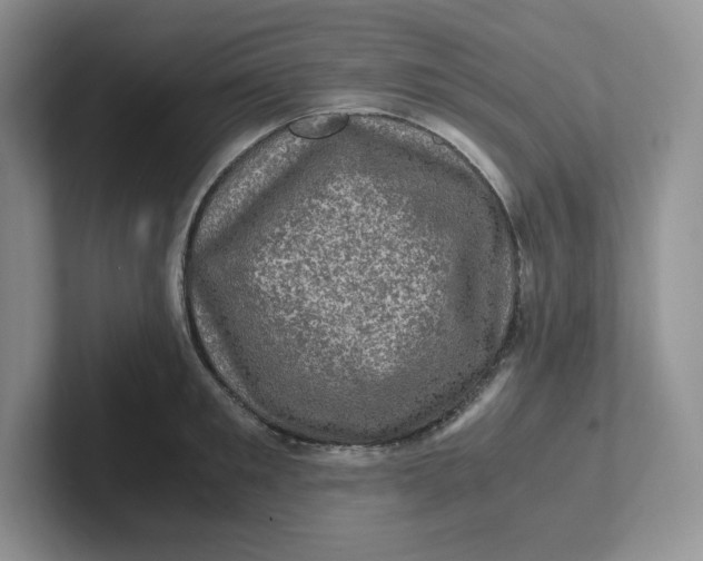 X0000101710901200807311449