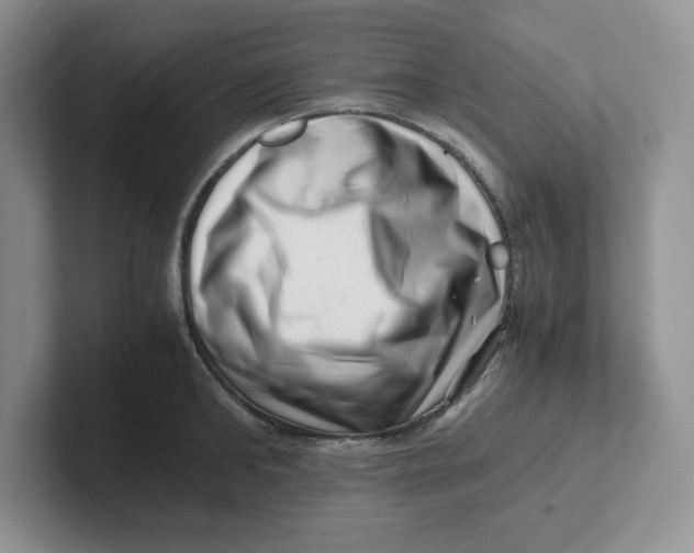 X0000101710902200807311449