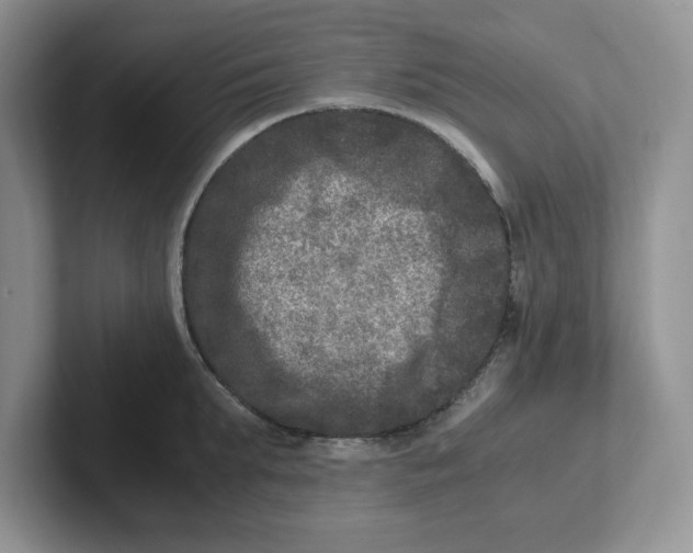 X0000101710903200807311449