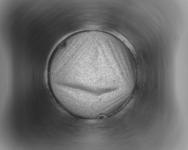 X0000101710904200807311449